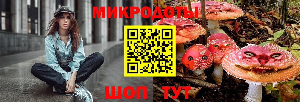 Псилоцибиновые грибы Psilocybine cubensis  Псилоцибиновые грибы мицелий  Вход с VPN  Воронеж 