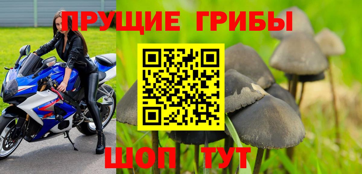 Псилоцибиновые грибы мицелий Воронеж